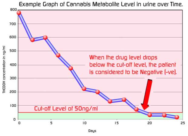 Drug Screening Explained - Graph